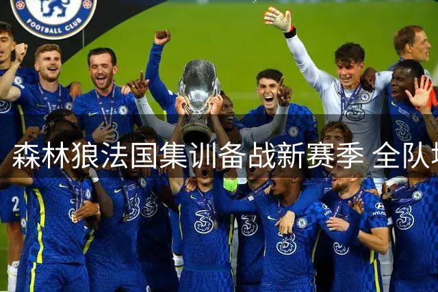 森林狼法国集训备战新赛季 全队埃菲尔铁塔前合影引关注