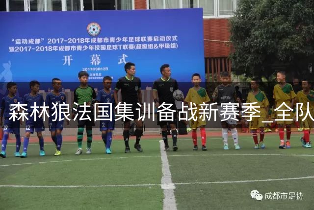森林狼法国集训备战新赛季 全队埃菲尔铁塔前合影引关注
